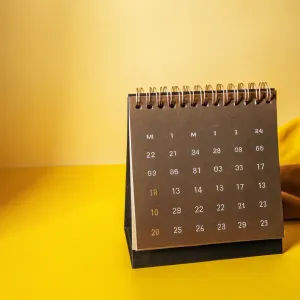 Best Days and Times to Book Travel in 2025